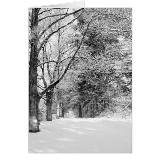 Winter In New England Card