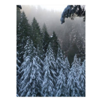 Winter in Oregon posters