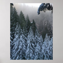 Winter in Oregon Poster