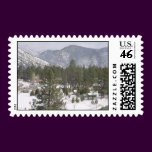 Winter in Pine Mountain Club, CA