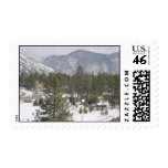 Winter in Pine Mountain Club, CA