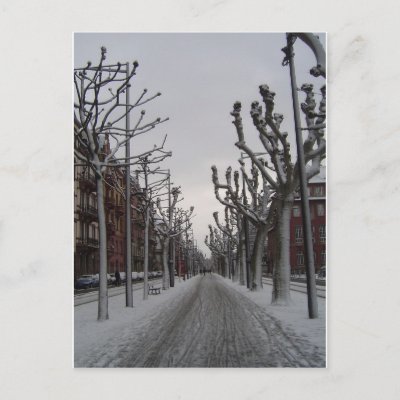 Winter in Strasbourg Post Cards