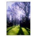 Winter in the Fitzroy Gardens cards by grahamunderhill Winter in the Fitzroy Gardens cards