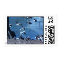 Winter in the park stamps