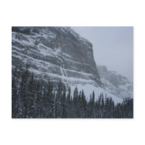 Winter in the Rockies postcards