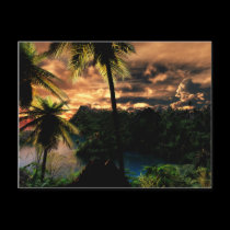 Winter In The Tropics Postcard postcards