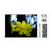 Winter Jasmine Stamps