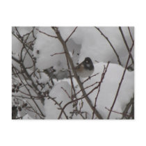 Winter Junko Postcard by shawke123 Winter Junko Postcard