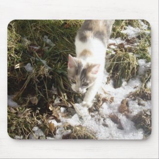 Winter Kitten Mouse Pad