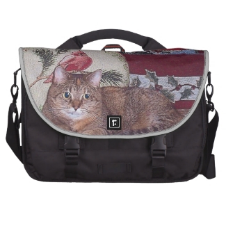 Winter Kitty Waiting For Spring Design
