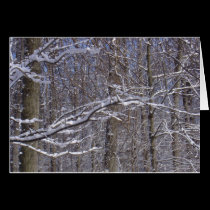 Winter Lace cards by MarDar Winter Lace cards
