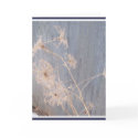 WINTER LACE cards