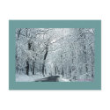 "Winter Lace" postcard