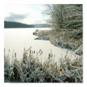 Winter Lake/Cattails Poster posters