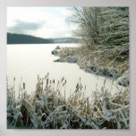 Winter Lake/Cattails Poster