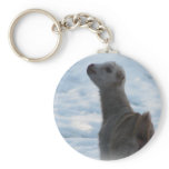 WINTER LAMANCHA KID BABY GOAT  IN SNOW keychains