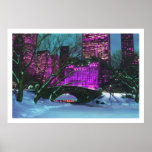 Winter Landscape Central Park New-York posters