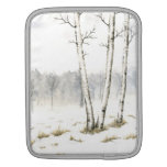 Winter Landscape iPad Case iPad Sleeves