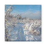 Winter Landscape magnets