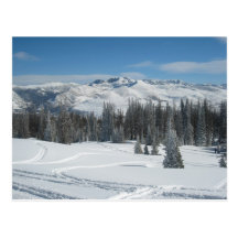 Winter Landscape Post Card