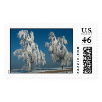 Winter-Landscape postage