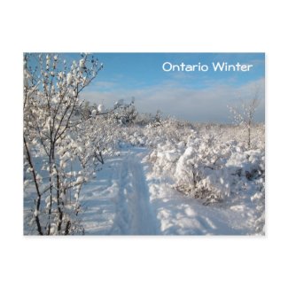 Winter Landscape - Postcard postcard