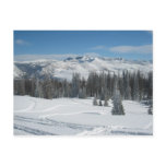 Winter Landscape Post Card