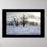 winter landscape print