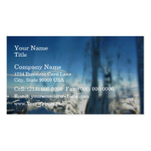 Winter Landscapes Business Card