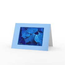 Winter Leaves cards by elledeegee Winter Leaves cards