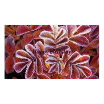Winter Leaves, Happy birthday business cards by jasmin89 Winter Leaves, Happy birthday business cards