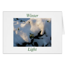 Winter Light cards by meia7214N Winter Light cards