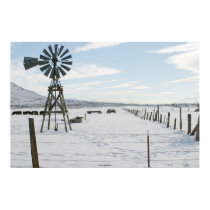 Winter, Lompa Ranch posters by daysrays Winter, Lompa Ranch posters