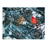 Winter love, postcard postcards