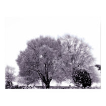 Winter Love posters by dreamsatmidnight Winter Love posters
