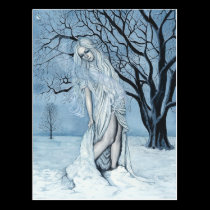 Winter Magic Postcard postcards