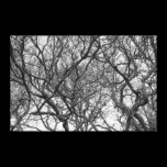 Winter Magnolia Branches in Early Spring B&W canvas prints
