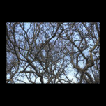 Winter Magnolia Branches in Early Spring canvas prints