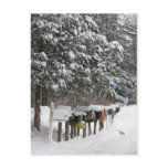 Winter Mail Boxes Holiday Post Card