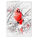 WINTER MALE CARDINAL