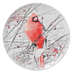 WINTER MALE CARDINAL DINNER PLATES