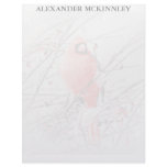 WINTER MALE CARDINAL CUSTOM LETTERHEAD