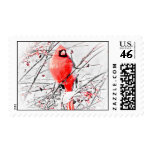 WINTER MALE CARDINAL postage