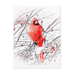 WINTER MALE CARDINAL POSTCARDS