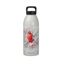WINTER MALE CARDINAL REUSABLE WATER BOTTLES