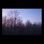 Winter Moon Print