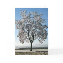 Winter Morning - Blank card