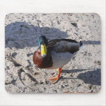 Winter morning duck mousepads