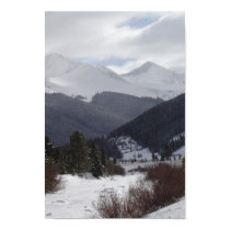 Winter Morning posters