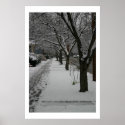 Winter Morning posters